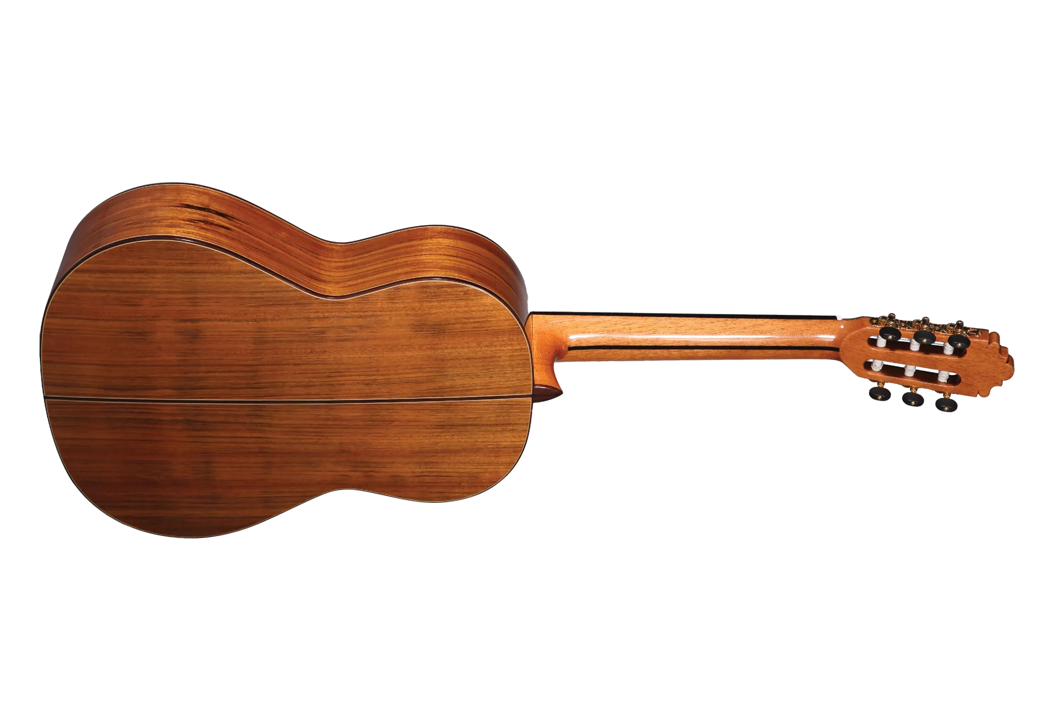 Altamira N500