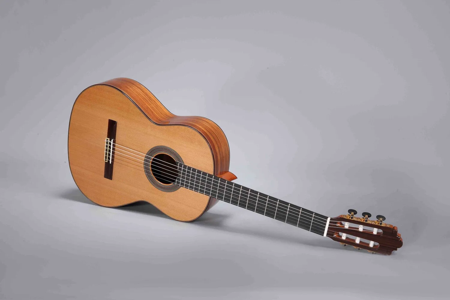 Altamira N500