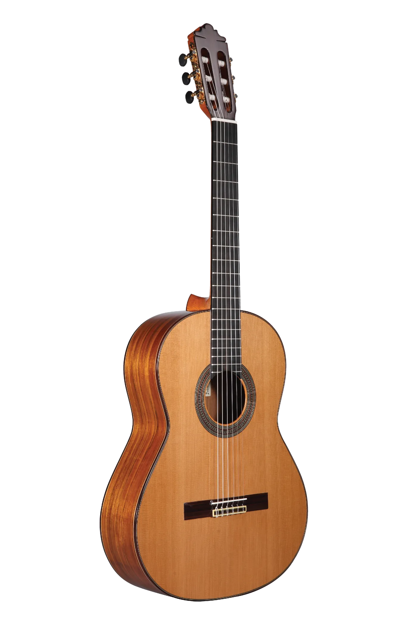 Altamira N500