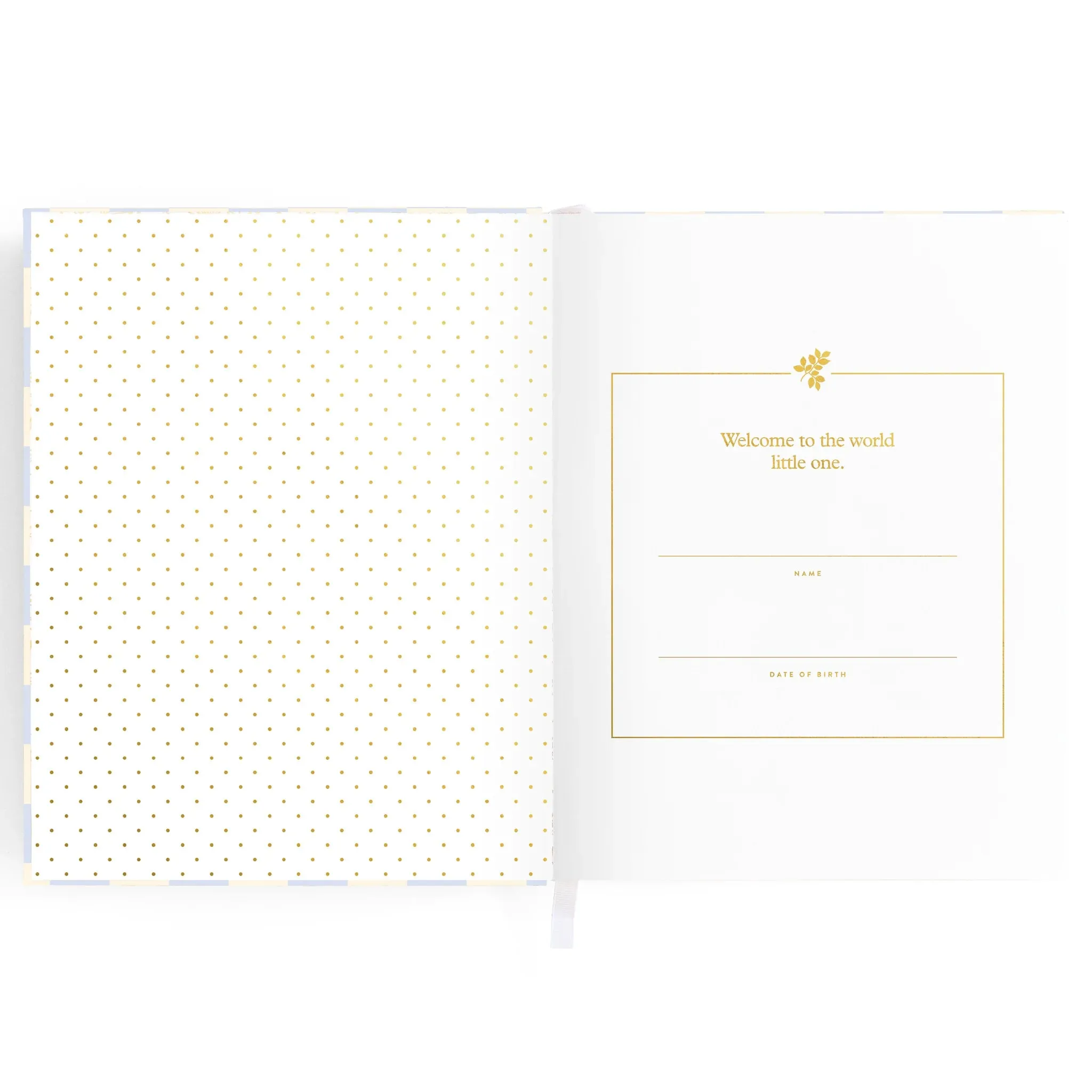 Baby Book Blue Check Boxed