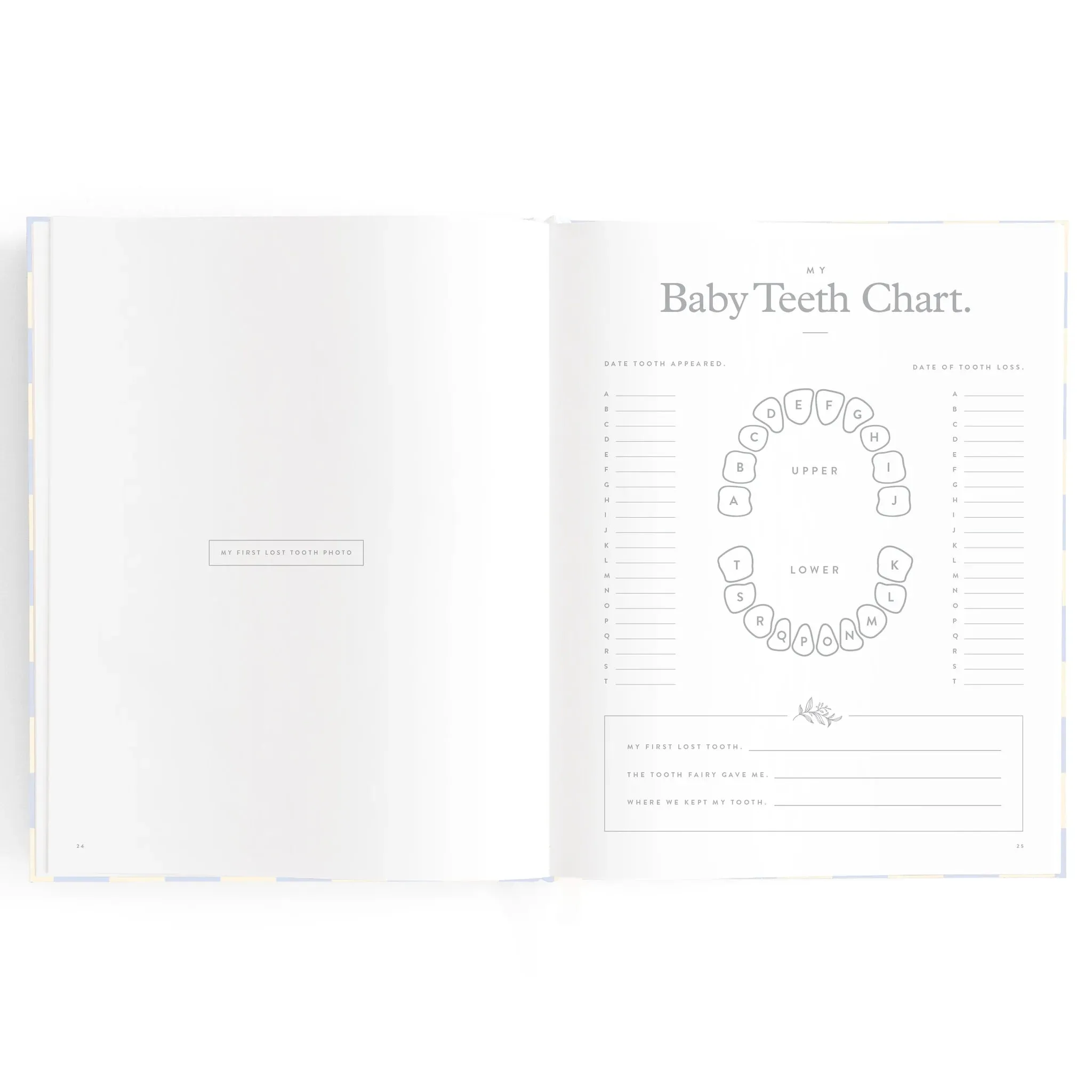 Baby Book Blue Check Boxed
