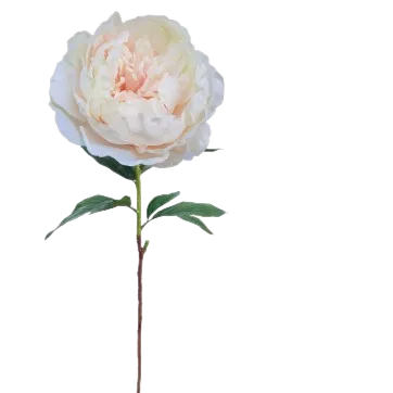Faux Seashell Queen Peony Flower