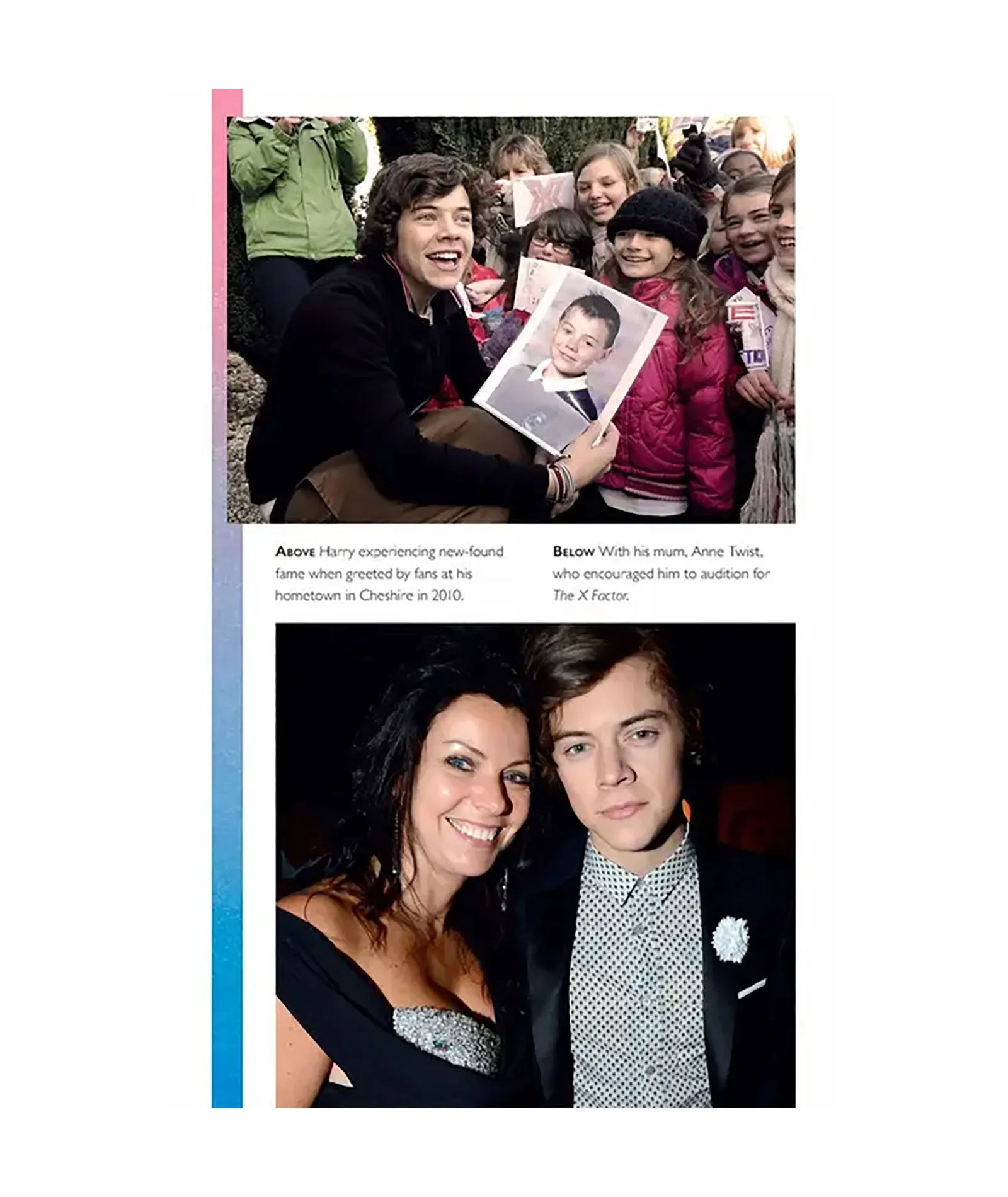 Harry Styles: The Unauthorized Biography