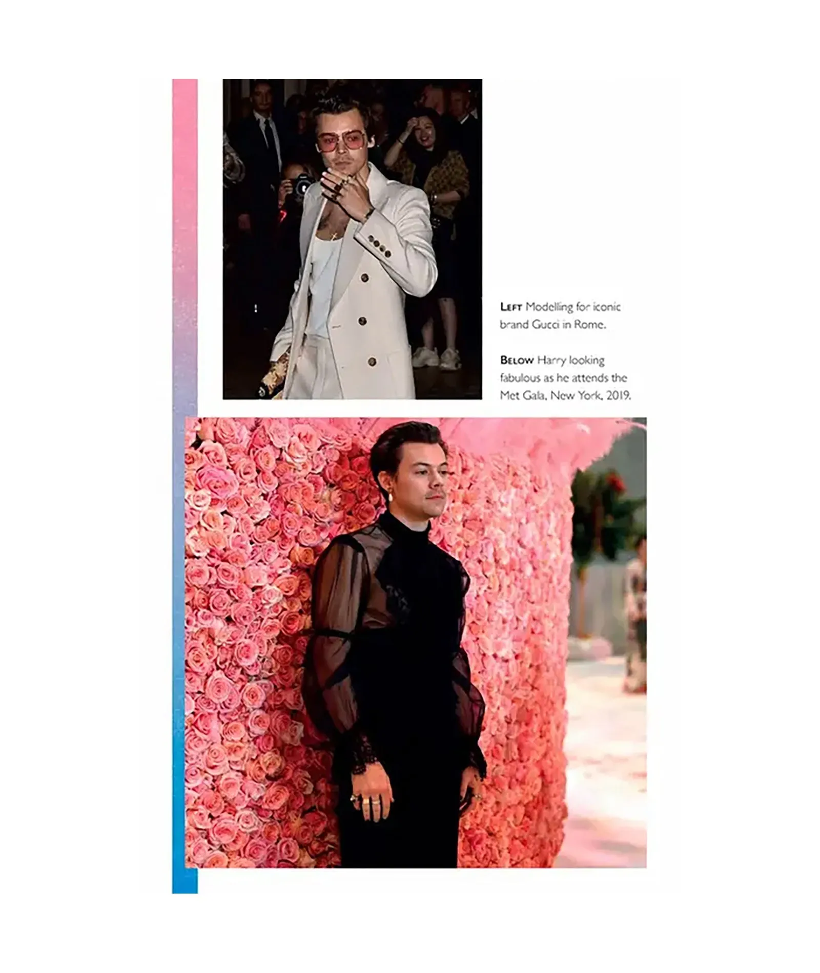 Harry Styles: The Unauthorized Biography