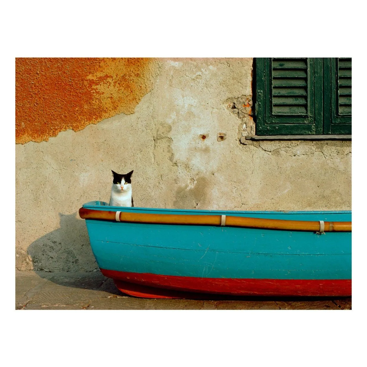 "First Mate" | Italy Photography Print