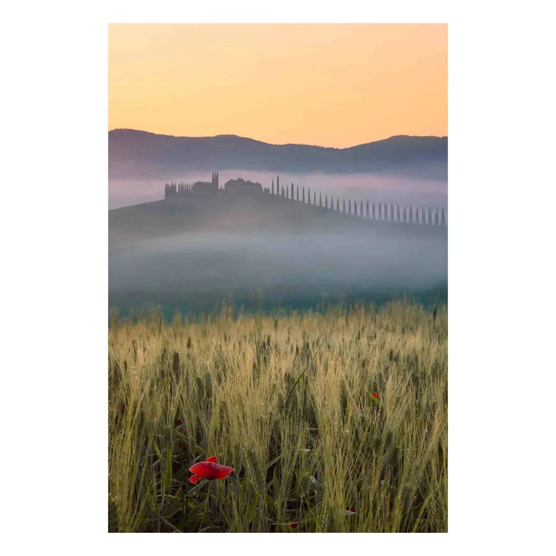 "Misty Morning Tuscany" | Italy Photography Print