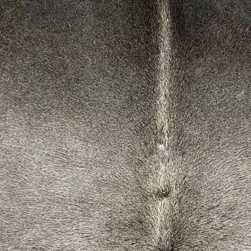 Two Tone Gray Brazilian Cowhide - 7'2" x 5'5" (BRGR269)